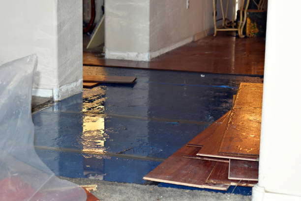 Professional Water Damage Restoration technician working in Minneapolis, KS